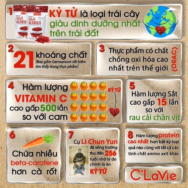 Kỷ tử là trái cây giàu dinh dưỡng nhất trên trái đất