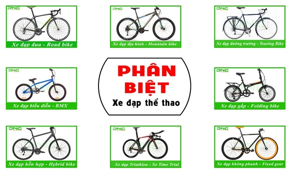 Cách Phân Biệt Các Dòng Xe Đạp Thể Thao Hiện Nay | Dngbike