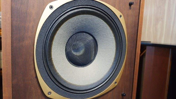 Loa Tannoy SRM 12X - dòng loa biểu diễn chuyên nghiệp