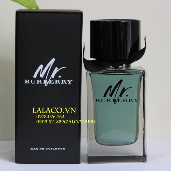 Nước hoa Nam Mr. Burberry EDT 100ml – 