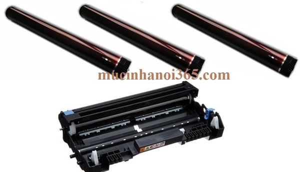 máy in bị chấm đen