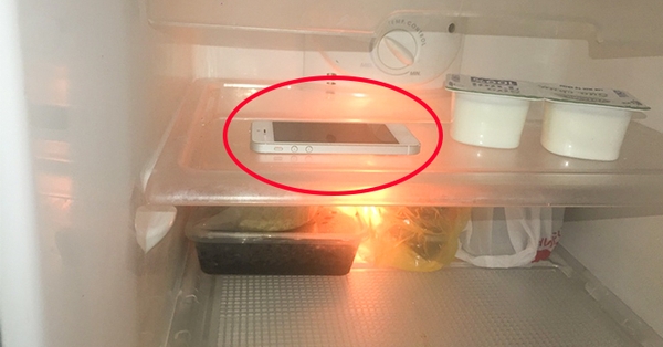 Chuyện gì sẽ xảy ra khi cho một chiếc iPhone vào tủ lạnh?