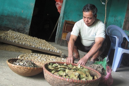 Bí quyết nấu men lá của người Nùng