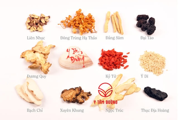 dược liệu ngâm rượu
