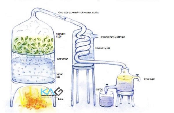 Phân biệt chưng cất tinh dầu lôi cuốn hơi nước và chưng cất tinh dầu bằng  nước  NỒI NẤU RƯỢU KAGTech