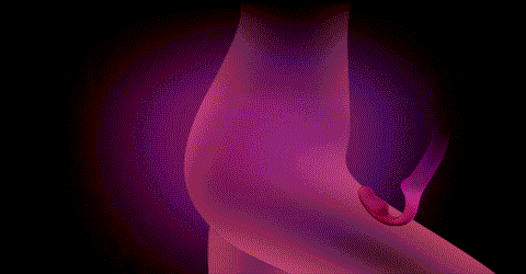 Sex toy cho les dương vật giả 2 đầu siêu rung 3 điểm Lovense Lapis