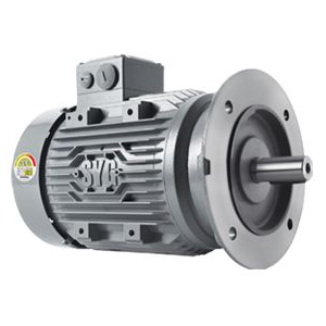 ĐỘNG CƠ ĐIỆN SK SERIES - SK SERIES TYPE MOPTOR