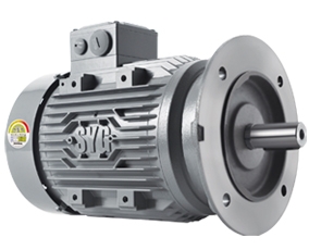 ĐỘNG CƠ ĐIỆN SK SEIRIES-SK SERIES MOTOR