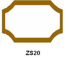 ZS20