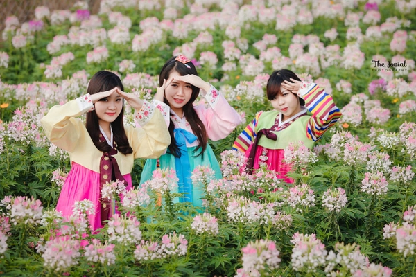 Chụp ảnh hanbok 03.01.2015