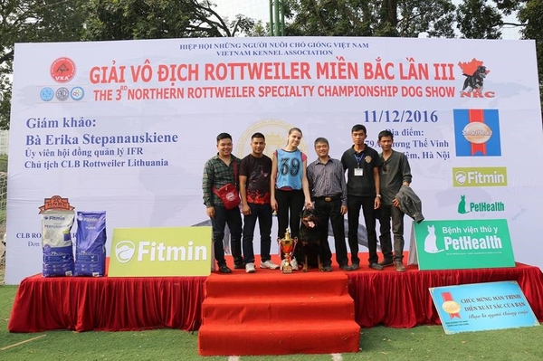 Cuộc thi chó đẹp Rottweiler 2016 - cấp Quốc gia Việt Nam