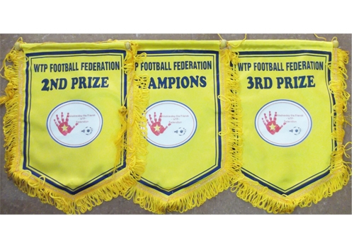 Giải bóng đá WTP Football Federation
