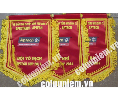 Hệ thống đào tạo lập trình viên quốc tế Aprotrain - Aptech