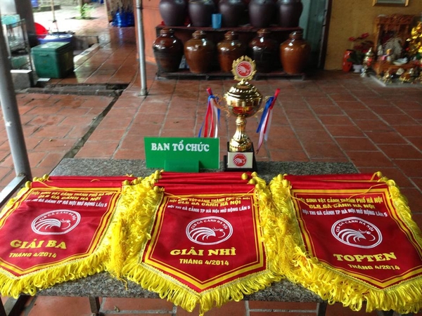 In Cờ lưu niệm để làm gì ? 