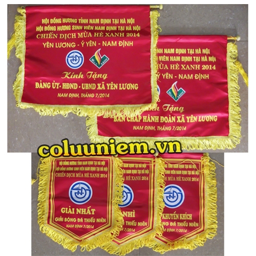Chiến dịch mùa hè xanh 2014 - Nam Định