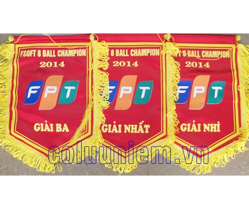 Cờ lưu niệm FPT - Giải bida 8 lỗ FSofr