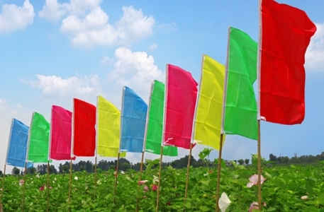 Cờ phướn là gì? Những thông tin nhất định phải biết khi thiết kế cờ phướn