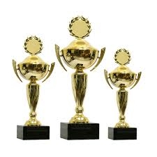 Cung cấp cúp lưu niệm cho tuyển thủ vô địch