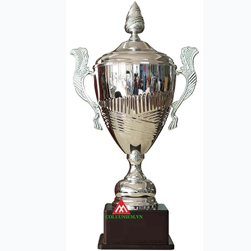 Tư vấn những mẫu cup bạc thể thao đẹp