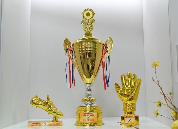 Kinh nghiệm lựa chọn mẫu cup 2 quai