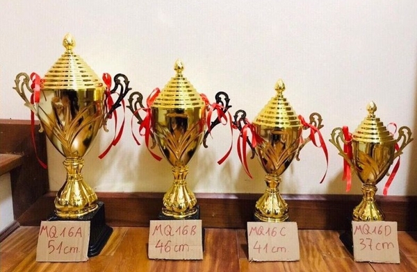 Cúp thể thao tôn vinh những cá nhân, đơn vị xuất xắc