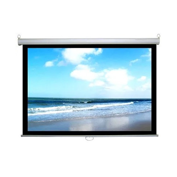 Màn Chiếu Treo Tường DALITE PW96WS 120