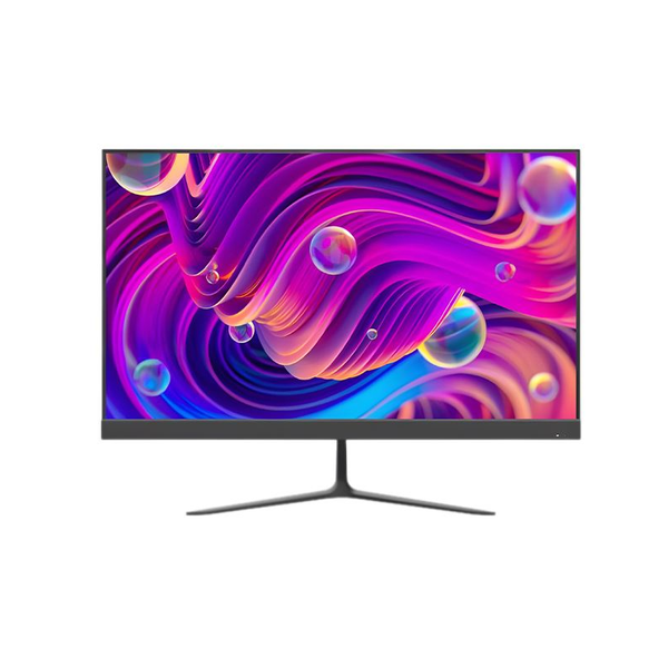 Màn hình Hikvision DS-D5024F2-BP2 (23.8Inch/ Full HD/ 100HZ/ 250cd/m2/ IPS)