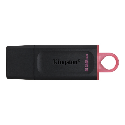 USB Kingston DataTraveler Exodia 256GB USB 3.2 (DTX/256GB)