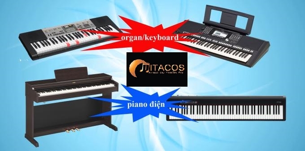 Mua Đàn Piano Điện hay Mua Đàn Organ Cho Người Mới Bắt Đầu