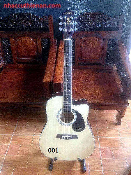 dan-guitar-acoustic-andrew-aw-70