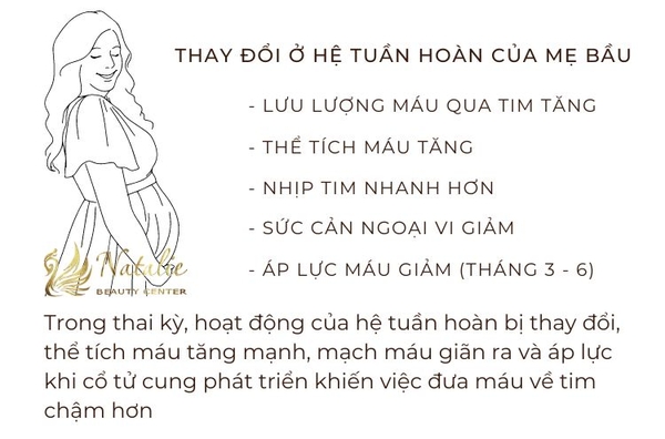 nhung-thay-doi-cua-ba-bau