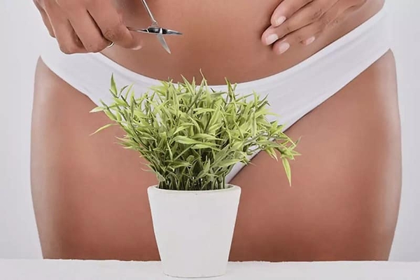 triet-long-tao-hinh-bikini