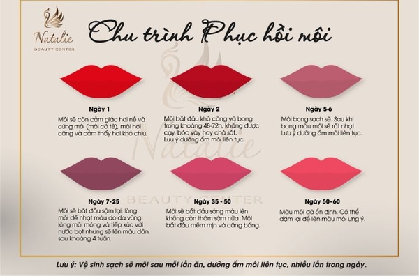quy-trinh-len-mau-cua-moi