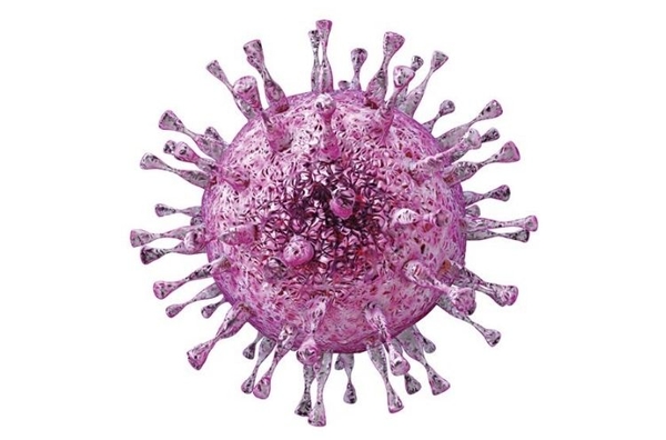 Virus-herpes-gay-mun-nuoc-sau-phun-moi