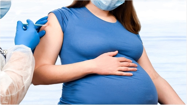 Cà gai leo Thảo dược quý có nhiều công dụng nhưng không phải ai cũng nên dùng Cà gai leo Thảo dược quý có nhiều công dụng nhưng không phải ai cũng nên dùng