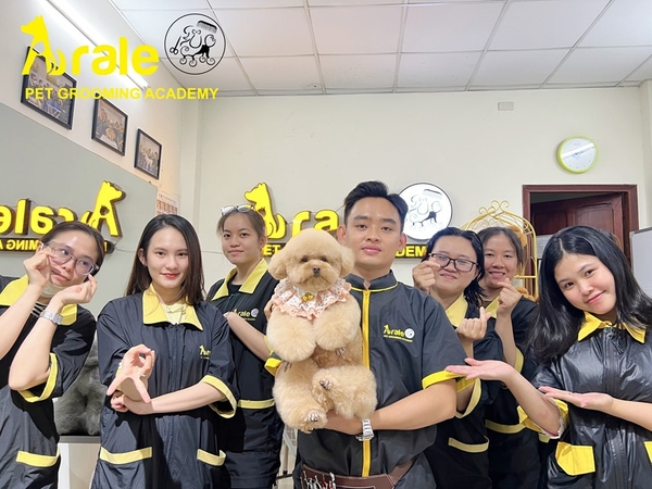 ✨️BUỔI HỌC DEMO CÁCH CẮT TỈA LÔNG TRÊN GIỐNG CHÓ POODLE 🐩🐩