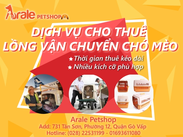 DỊCH VỤ CHO THUÊ LỒNG VẬN CHUYỂN CHÓ MÈO