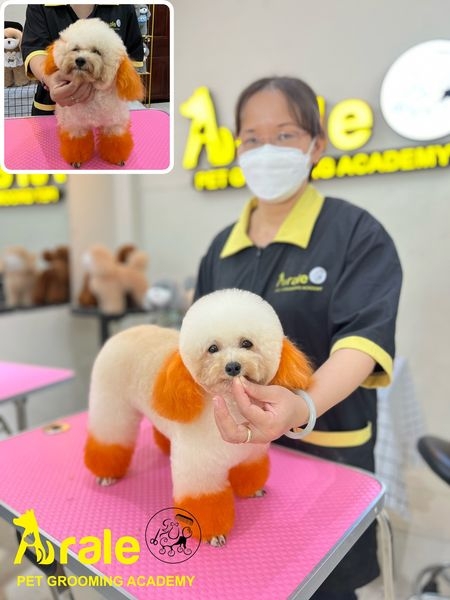 HỌC VIÊN THỰC HÀNH TRÊN CHÓ THẬT KHÓA THÁNG 11 - ARALE PET GROOMING ACADEMY