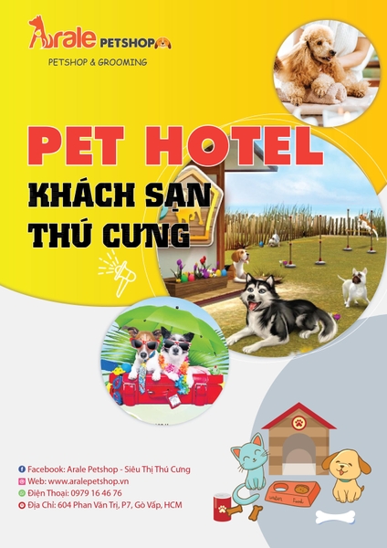 DỊCH VỤ TRÔNG GIỮ THÚ CƯNG - PET HOTEL