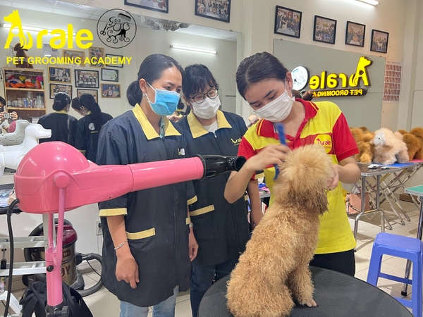 BUỔI HỌC CÁC BƯỚC TẮM VỆ SINH CHUẨN SPA TẠI LỚP HỌC GROOMING CỦA ARALE PET KHÓA THÁNG 3_2023