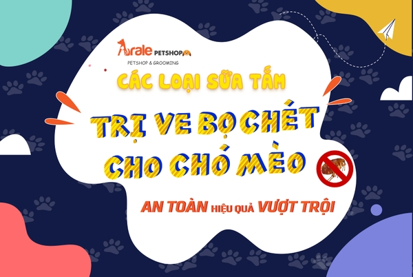 Các loại sữa tắm trị ve, bọ chét hiệu quả cho chó mèo