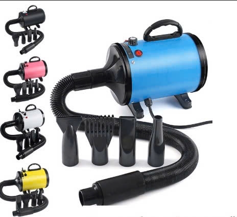 MÁY SẤY LÔNG CHÓ MÈO PET DRYER CÔNG SUẤT 3800W