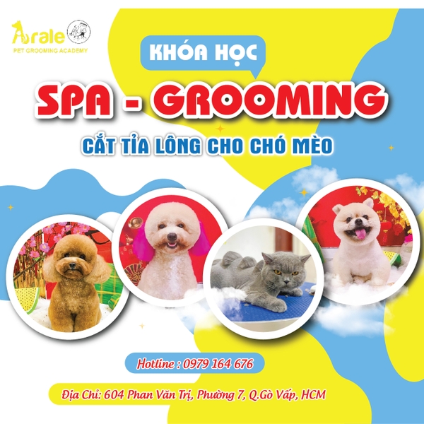 KHÓA HỌC CẮT TỈA LÔNG CHÓ MÈO LEVEL C