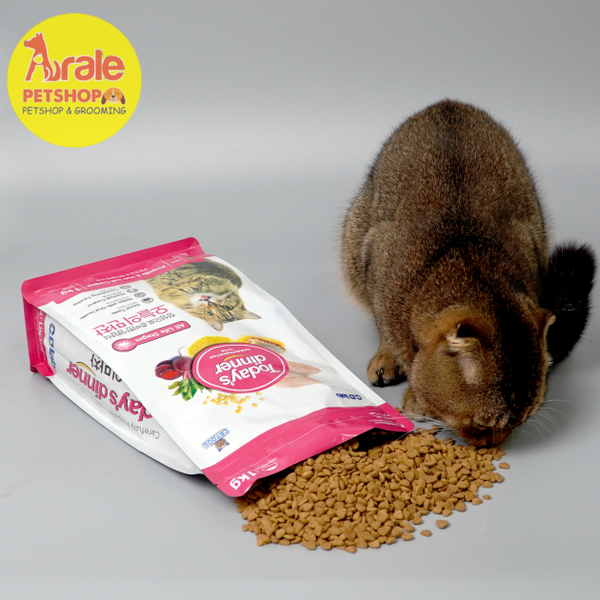 THỨC ĂN HẠT TODAY'S DINNER CHO MÈO MỌI LỨA TUỔI