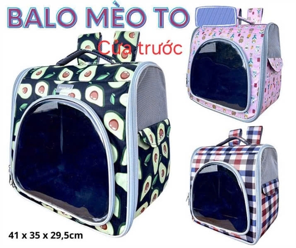 BALO FORM LỚN - CỬA TRONG SUỐT PHÍA TRƯỚC