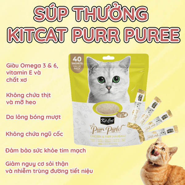 súp thưởng kitcat purr puree petsaigon