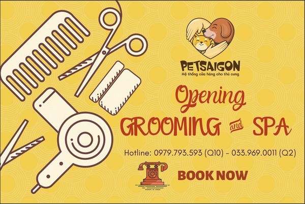 Tắm Cắt Lông Chó Mèo - Dịch Vụ Lẻ Spa Grooming PETSAIGON