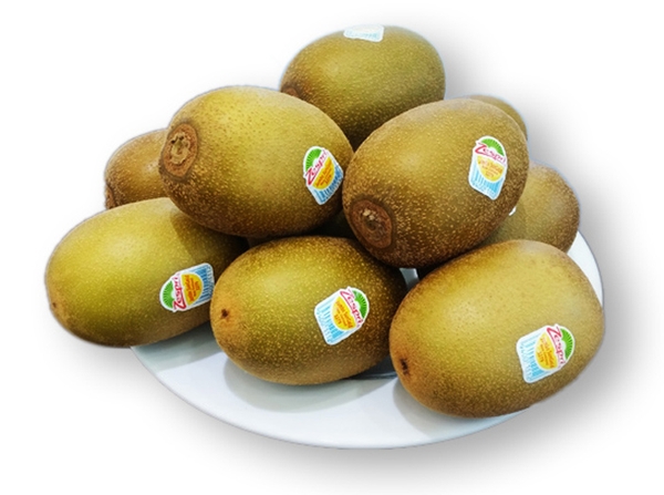 New Zealand Golden Kiwi