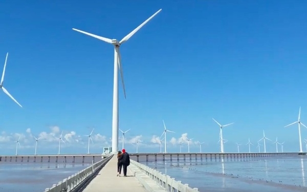 Check-in Cánh Đồng Điện Gió Bạc Liêu - Trời Âu Giữa Miền Tây