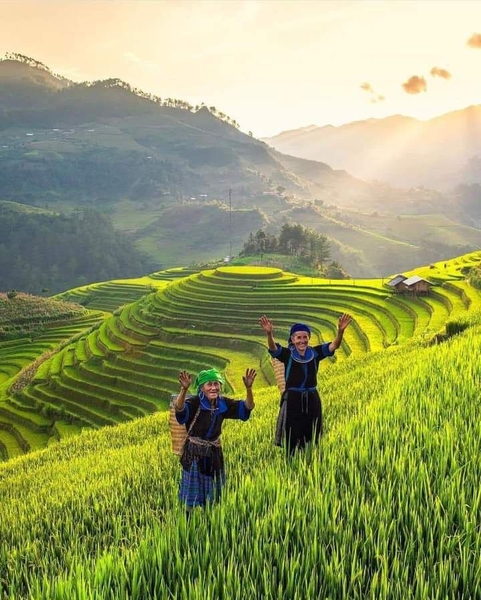 Kinh nghiệm du lịch Mù Cang Chải mùa lúa chín 2025: Ăn – Chơi – Ở đâu?